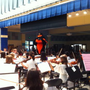 DOES Orchestra